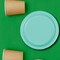 24 Count Mint Round Dessert Plates for Spring or Garden Events 7 Inch